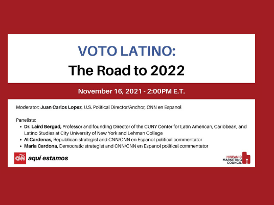 Voto Latino web image