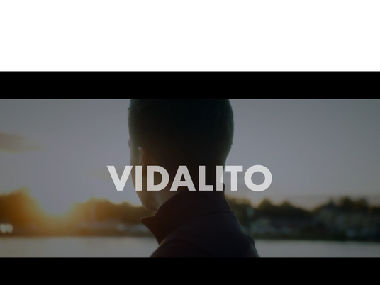 Vidalito 2023 Webinar image for web